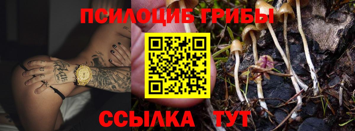 Псилоцибиновые грибы Magic Shrooms  Вход с VPN  Псилоцибиновые грибы ЛСД  наркошоп  Красноармейск 